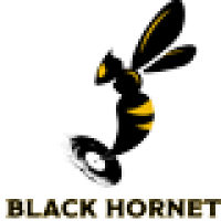 Radio Black Hornet