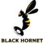 Radio Black Hornet
